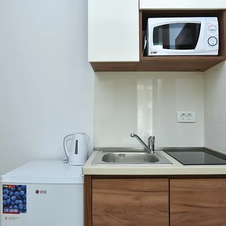 L Palace Apartament Budva